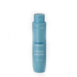 BraÊ Sh Hidratacao 250ml